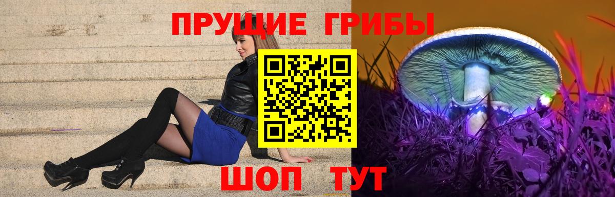 Псилоцибиновые грибы Psilocybe Долгопрудный